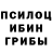 Галлюциногенные грибы мухоморы Ivan Kli