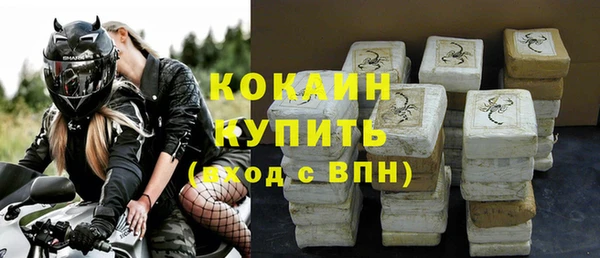ГАЛЛЮЦИНОГЕННЫЕ ГРИБЫ Пестово
