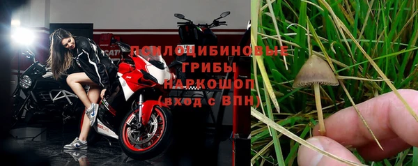 стаф Абинск