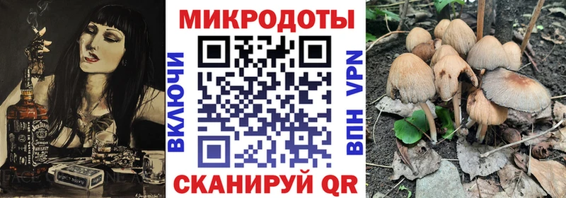 Галлюциногенные грибы Psilocybine cubensis  Харабали 